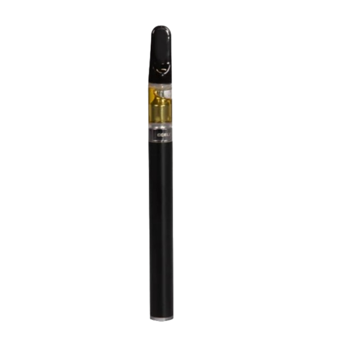 Evod Reusable Vape kit with E- liquid